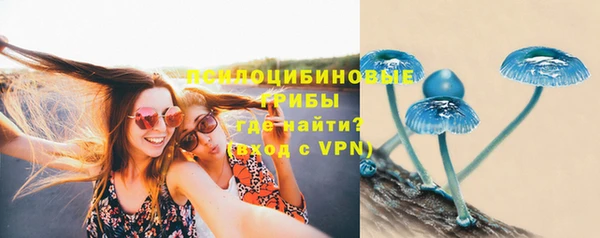 ALPHA-PVP Армянск