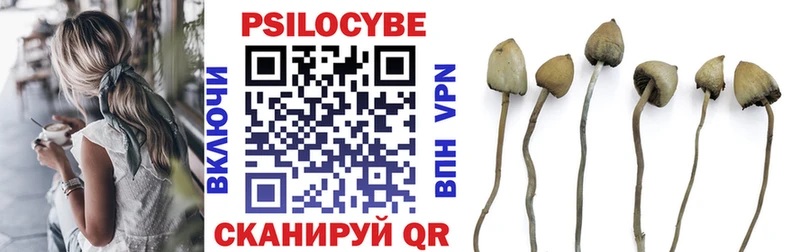 купить наркотик  Беслан  блэк спрут как зайти  Галлюциногенные грибы прущие грибы 